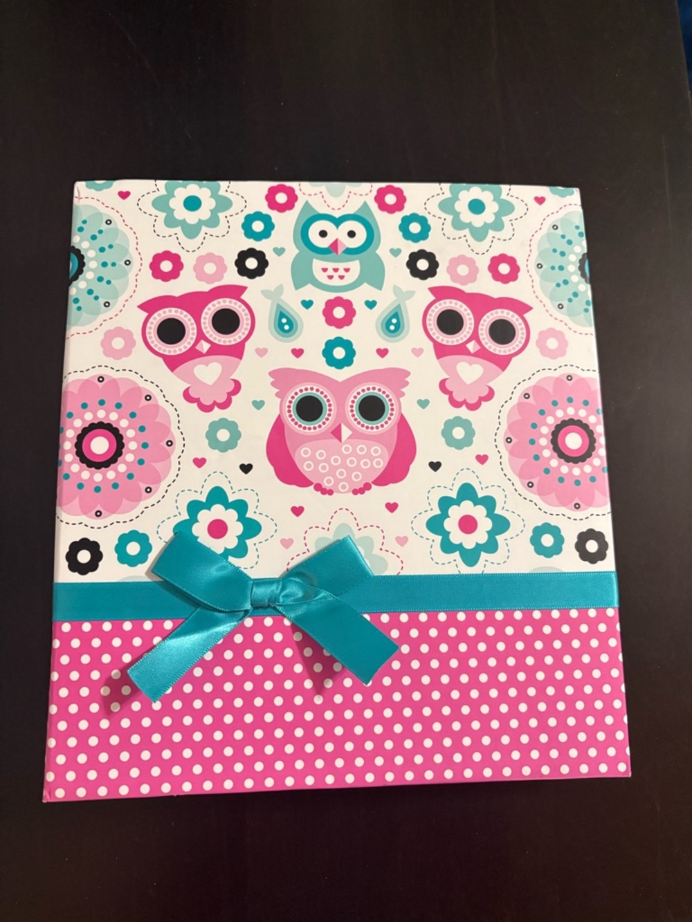 Whimsical Owl Photo Book with Teal Satin Bow - Pink, Teal, White